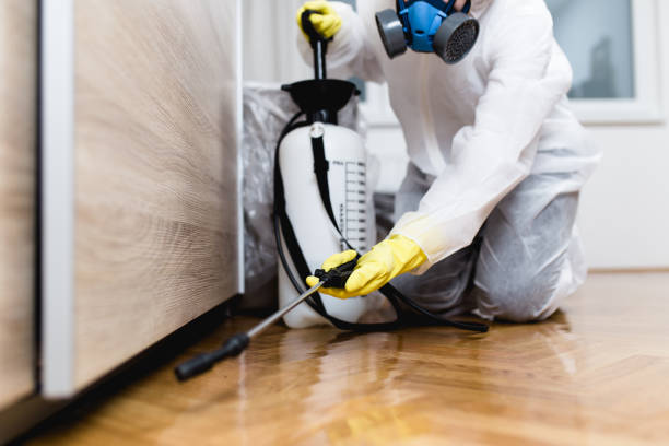 Best Mosquito Control Services  in Mount Rainier, MD