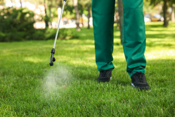Best Best Pest Control Companies  in Mount Rainier, MD