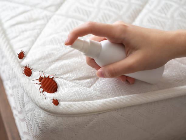 Best Commercial Pest Control Services  in Mount Rainier, MD
