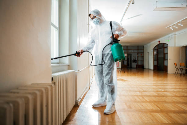 Best Affordable Pest Control Services  in Mount Rainier, MD